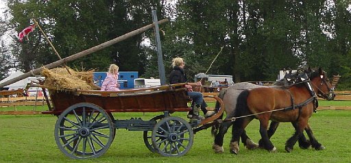 aDSC02587.JPG