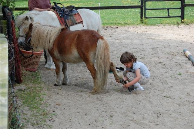 Luca-op-de-pony-07.jpg